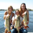 Chobe River Fishing experience Chobe River Fishing experience