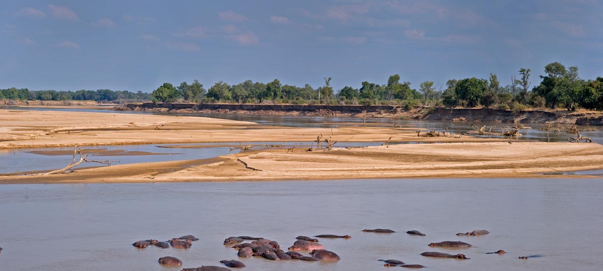 Zambia