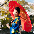Cherry Blossom 2017 Schedule is out! Cherry Blossom 2017 Schedule is out!