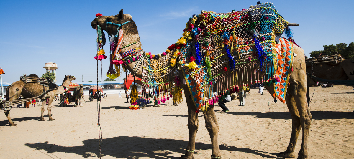 Pushkar Fair Pushkar Fair