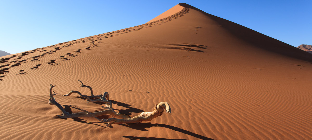The Sahara The Sahara