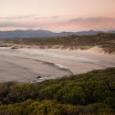 Safari Secret: Grootbos Nature Reserve Safari Secret: Grootbos Nature Reserve