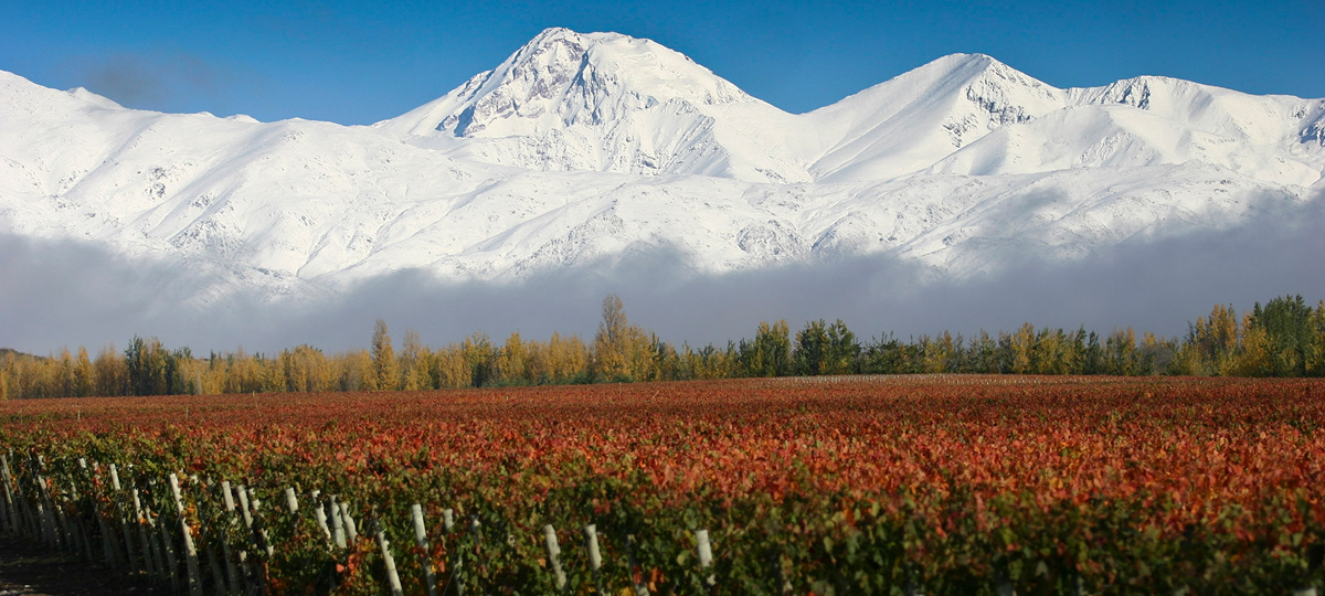 Mendoza Mendoza