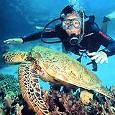 ITINERARY IDEAS: Looking for a unique Dive destination – it doesn’t get much better than Galápagos! ITINERARY IDEAS: Looking for a unique Dive destination – it doesn’t get much better than Galápagos!
