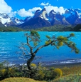 Patagonia Update #2 Patagonia Update #2