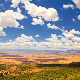 The Laikipia Region, Lewa Conservancy & Mount Kenya