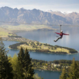 Ziplining Tour in an Ancient New Zealand Forest
