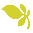 The Red Mangrove is Now the Galapagos Habitat The Red Mangrove is Now the Galapagos Habitat