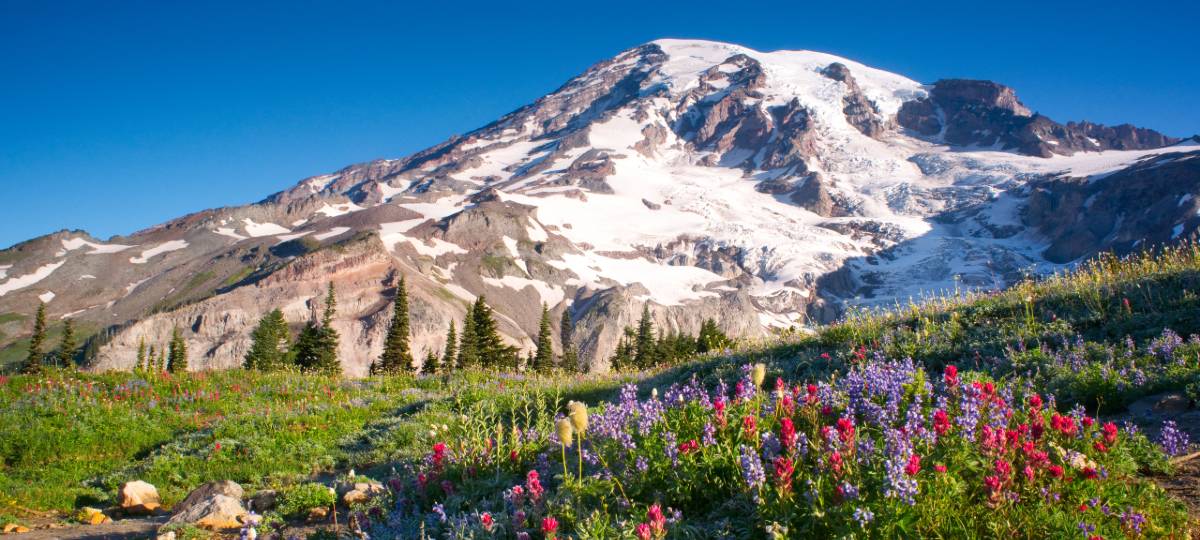 Pacific Northwest Grand Circle Adventure - Fully Escorted