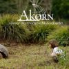 Ecuador for Families - Akorn Ecuador for Families - Akorn