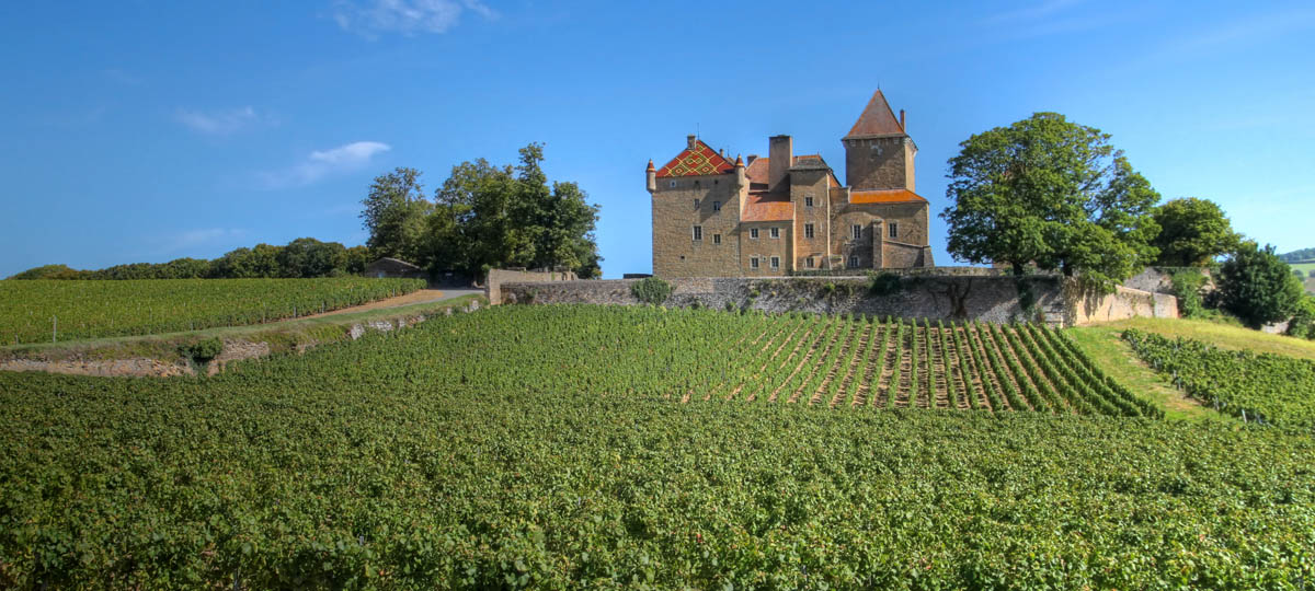 Paris, Dijon and Vence